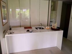 Newton Suites (D11), Apartment #557029361